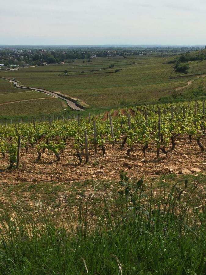 Maison A Beaune Beaune  Dış mekan fotoğraf